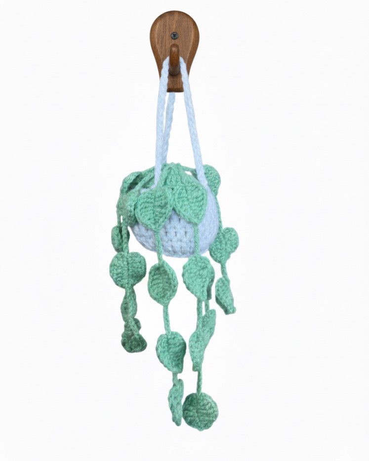 Crochet pot